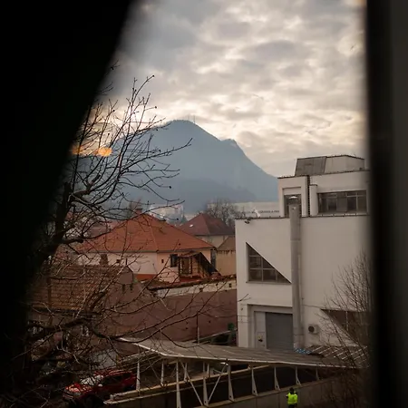 Illy's Cozy Free Parking & Self Check-in Daire